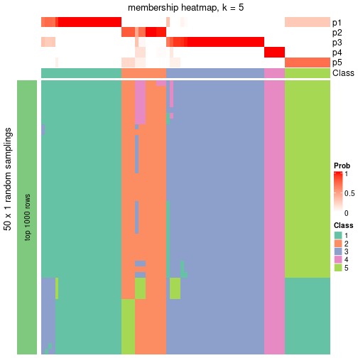 plot of chunk tab-node-05-membership-heatmap-4