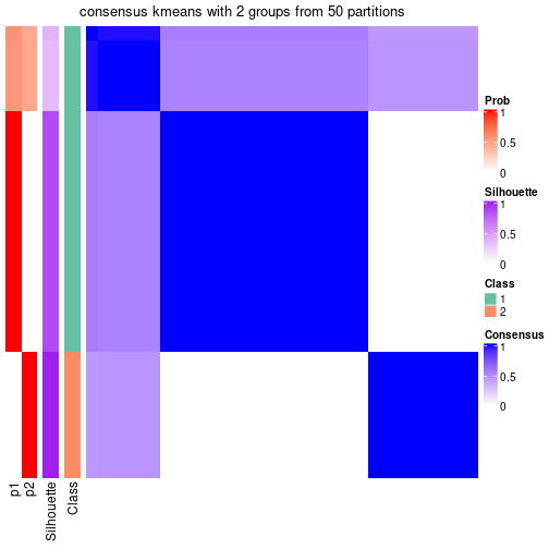 plot of chunk tab-node-051-consensus-heatmap-1