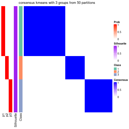 plot of chunk tab-node-051-consensus-heatmap-2