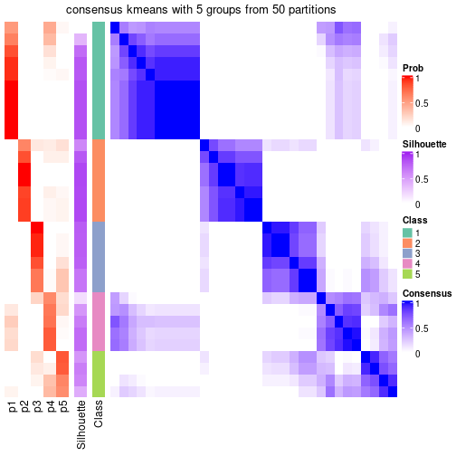 plot of chunk tab-node-051-consensus-heatmap-4