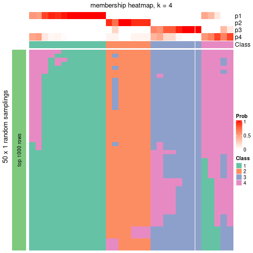 plot of chunk tab-node-051-membership-heatmap-3