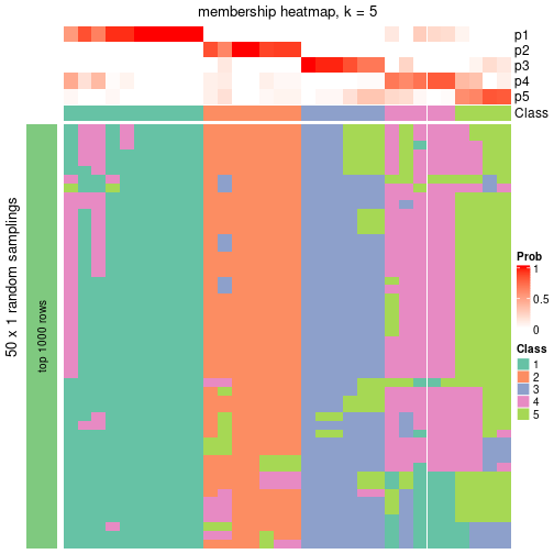 plot of chunk tab-node-051-membership-heatmap-4