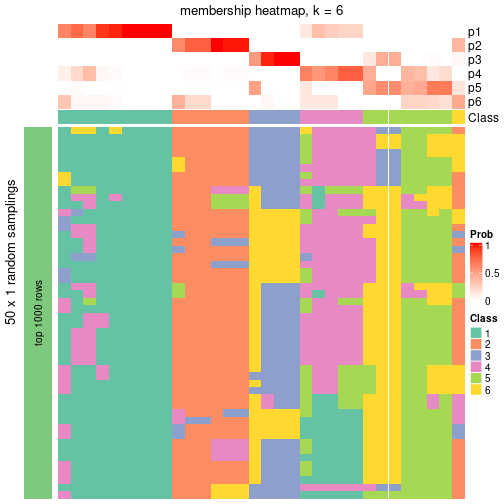 plot of chunk tab-node-051-membership-heatmap-5