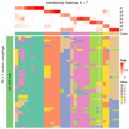 plot of chunk tab-node-051-membership-heatmap-6