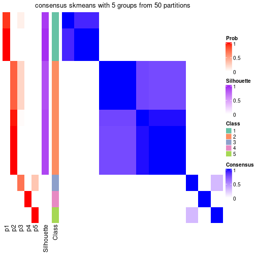 plot of chunk tab-node-052-consensus-heatmap-4