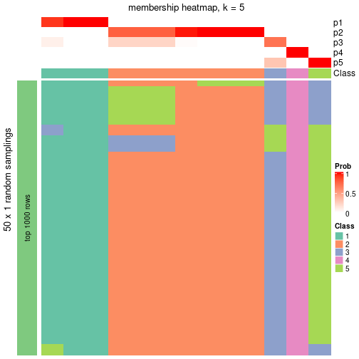 plot of chunk tab-node-052-membership-heatmap-4