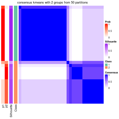 plot of chunk tab-node-053-consensus-heatmap-1