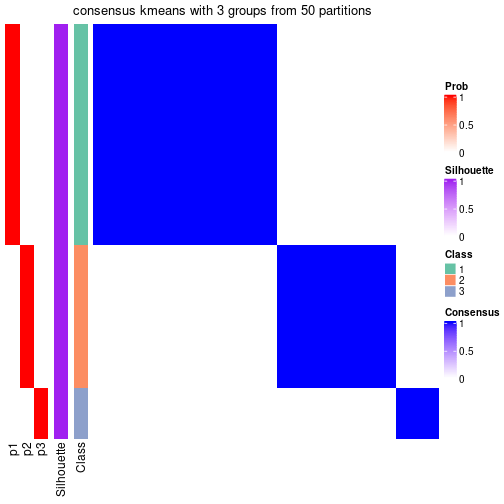 plot of chunk tab-node-053-consensus-heatmap-2