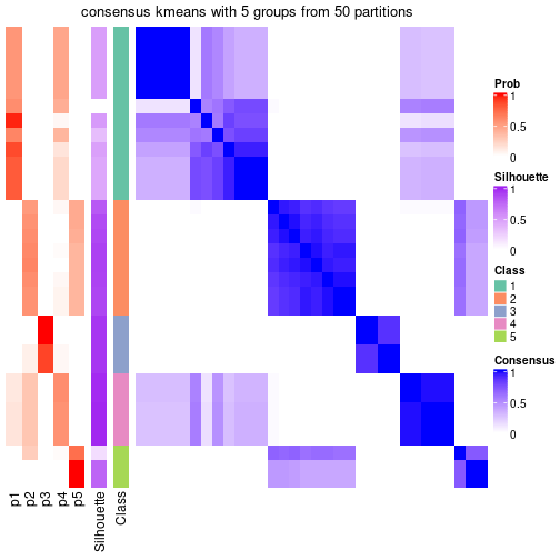 plot of chunk tab-node-053-consensus-heatmap-4