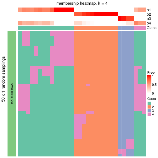 plot of chunk tab-node-053-membership-heatmap-3