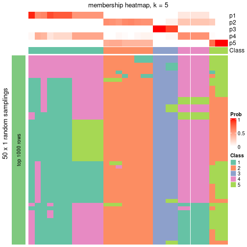 plot of chunk tab-node-053-membership-heatmap-4