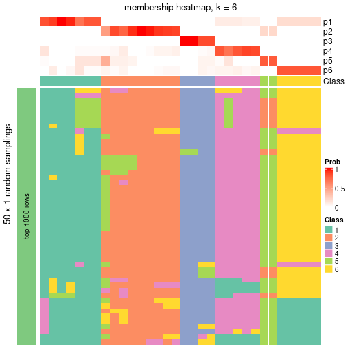 plot of chunk tab-node-053-membership-heatmap-5