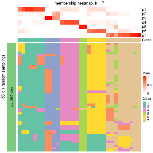 plot of chunk tab-node-053-membership-heatmap-6