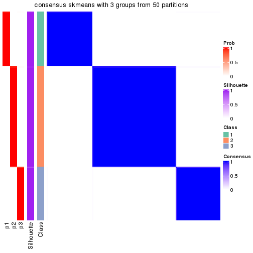 plot of chunk tab-node-0-consensus-heatmap-2