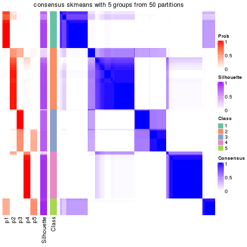 plot of chunk tab-node-0-consensus-heatmap-4