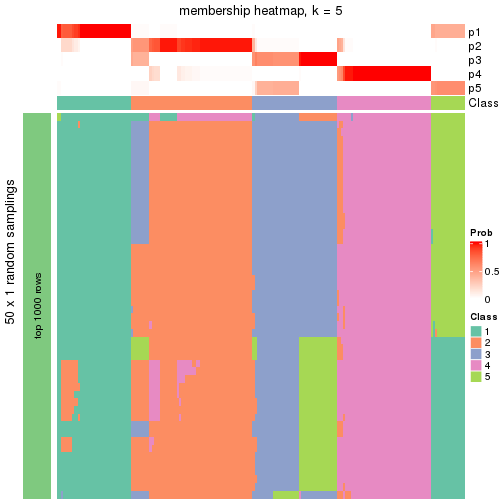 plot of chunk tab-node-0-membership-heatmap-4