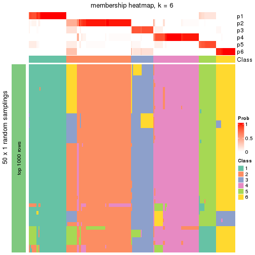 plot of chunk tab-node-0-membership-heatmap-5