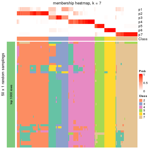 plot of chunk tab-node-0-membership-heatmap-6