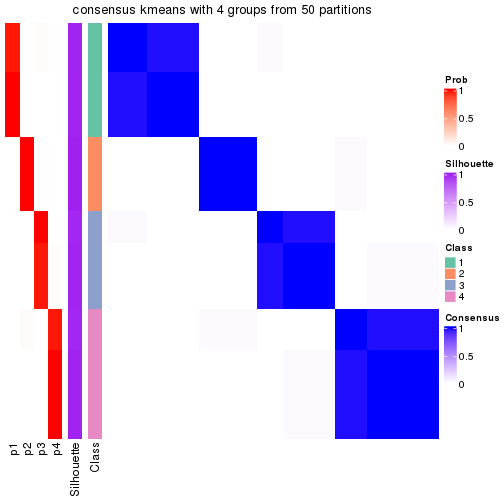 plot of chunk tab-node-01-consensus-heatmap-3