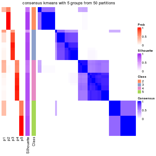 plot of chunk tab-node-01-consensus-heatmap-4