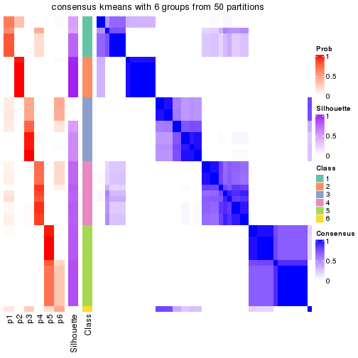 plot of chunk tab-node-01-consensus-heatmap-5