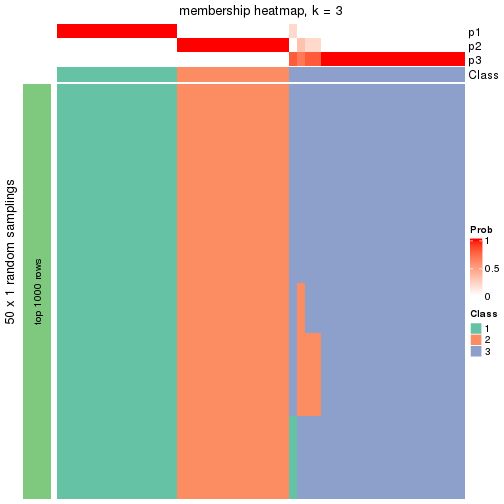 plot of chunk tab-node-01-membership-heatmap-2