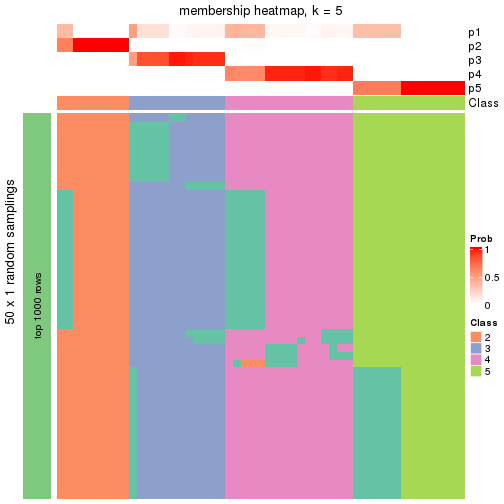 plot of chunk tab-node-01-membership-heatmap-4