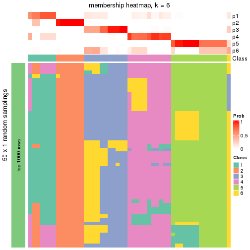 plot of chunk tab-node-01-membership-heatmap-5