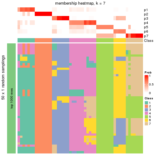 plot of chunk tab-node-01-membership-heatmap-6