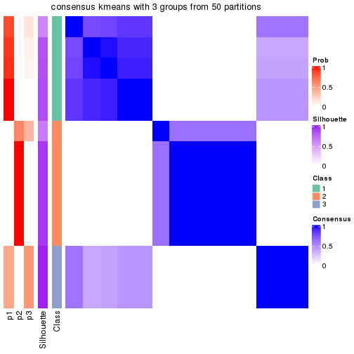 plot of chunk tab-node-011-consensus-heatmap-2