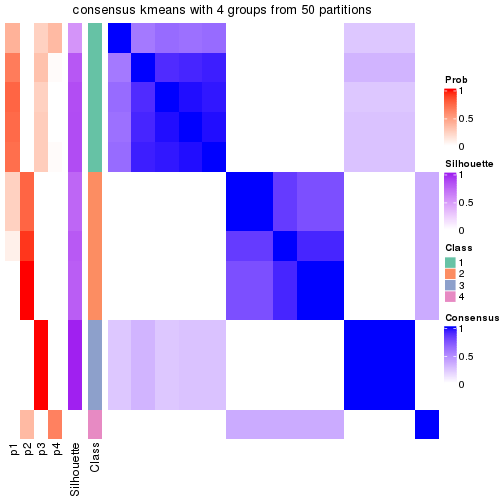 plot of chunk tab-node-011-consensus-heatmap-3