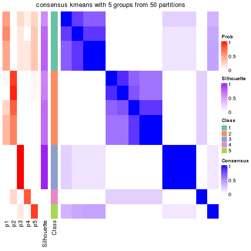 plot of chunk tab-node-011-consensus-heatmap-4