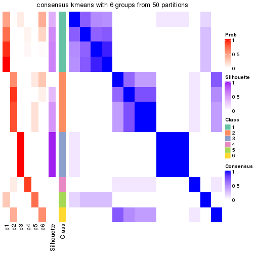 plot of chunk tab-node-011-consensus-heatmap-5