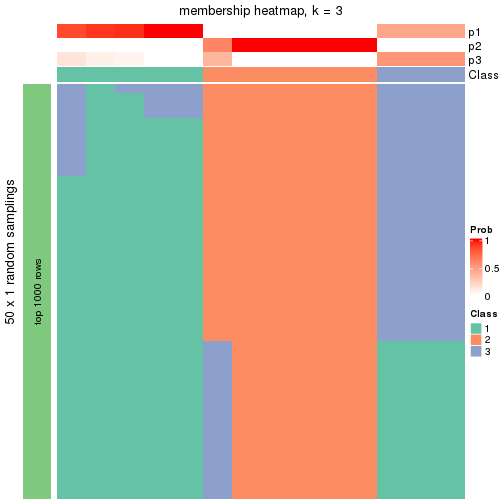 plot of chunk tab-node-011-membership-heatmap-2