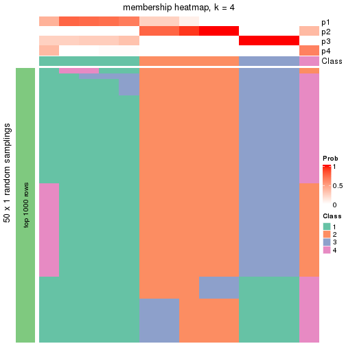 plot of chunk tab-node-011-membership-heatmap-3