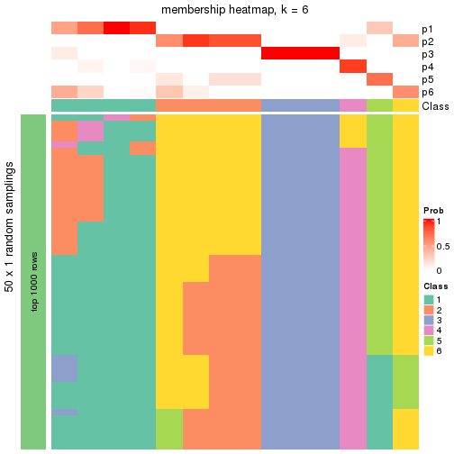 plot of chunk tab-node-011-membership-heatmap-5