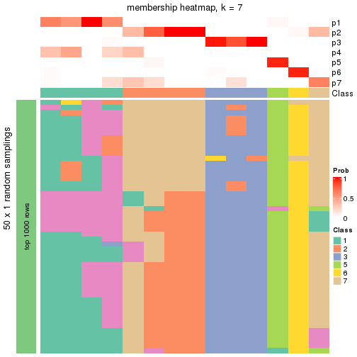 plot of chunk tab-node-011-membership-heatmap-6