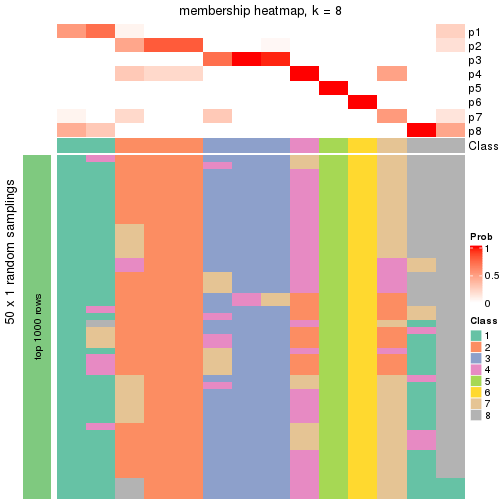 plot of chunk tab-node-011-membership-heatmap-7