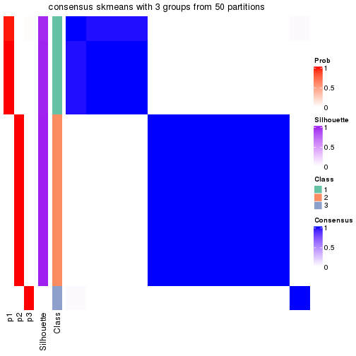 plot of chunk tab-node-013-consensus-heatmap-2