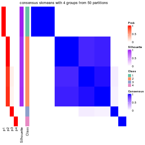 plot of chunk tab-node-013-consensus-heatmap-3