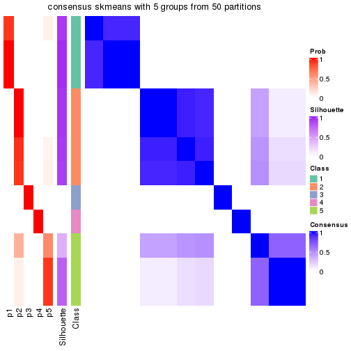 plot of chunk tab-node-013-consensus-heatmap-4