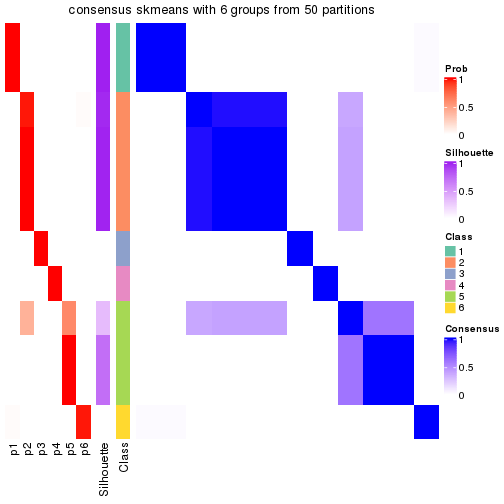 plot of chunk tab-node-013-consensus-heatmap-5