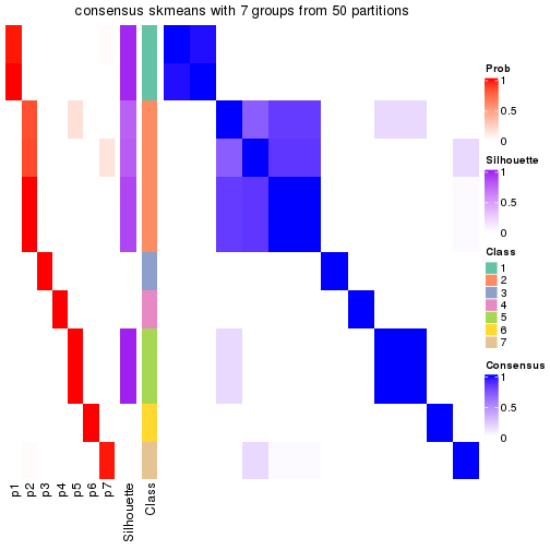 plot of chunk tab-node-013-consensus-heatmap-6