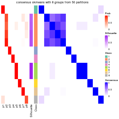 plot of chunk tab-node-013-consensus-heatmap-7