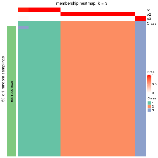 plot of chunk tab-node-013-membership-heatmap-2