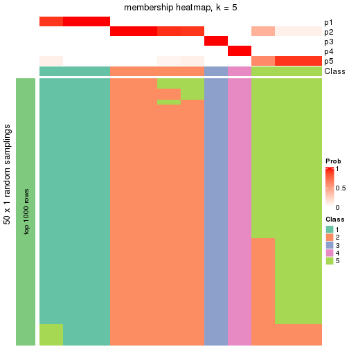 plot of chunk tab-node-013-membership-heatmap-4