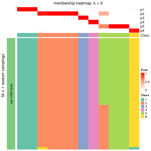 plot of chunk tab-node-013-membership-heatmap-5