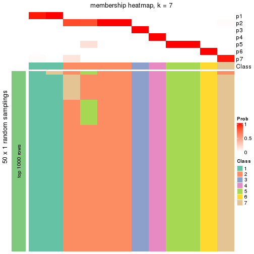 plot of chunk tab-node-013-membership-heatmap-6