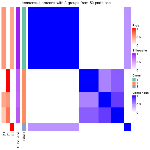 plot of chunk tab-node-014-consensus-heatmap-2