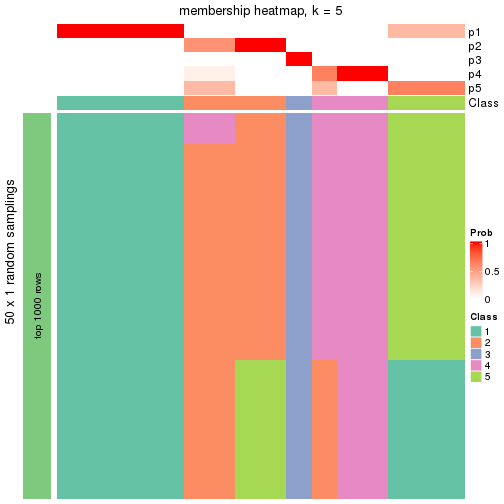 plot of chunk tab-node-014-membership-heatmap-4